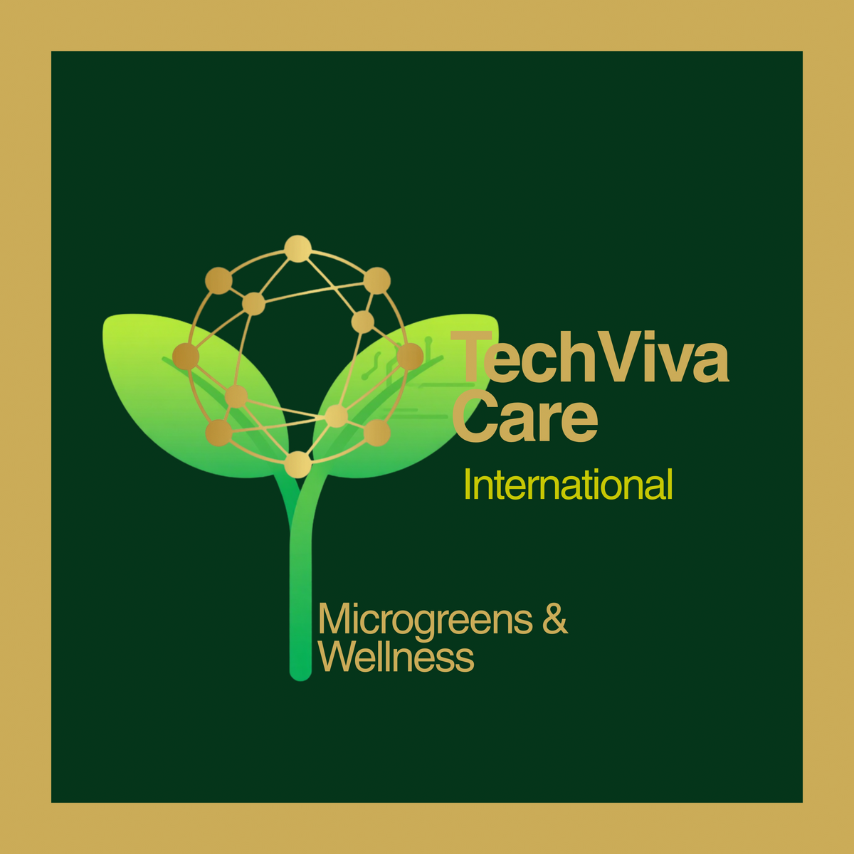 TechViva Care International LLC